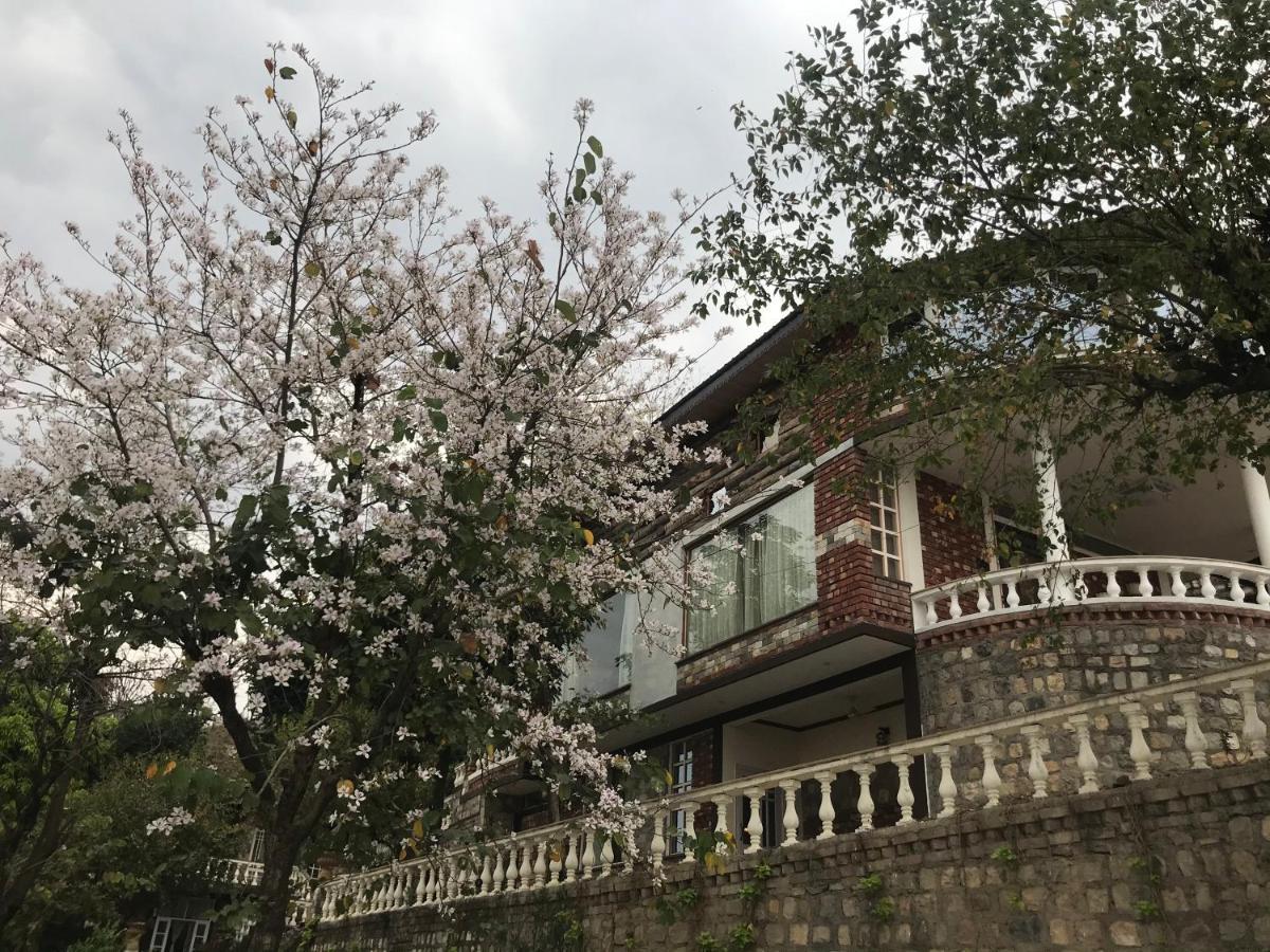 Chateau De Tatli - Hilltop - เดห์ราดุน ภายนอก รูปภาพ